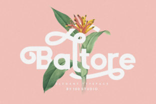 Baltore Font Review: A Modern Sans Serif for Campaign Design